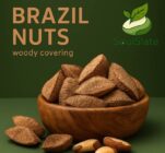 20251120_1413_Brazil Nuts Presentation_remix_01kahn6v89f3bt1jrb02hjwdyv-682x681