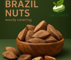20251120_1413_Brazil Nuts Presentation_remix_01kahn6v89f3bt1jrb02hjwdyv-682x681