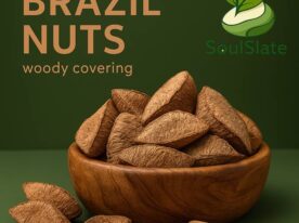20251120_1413_Brazil Nuts Presentation_remix_01kahn6v89f3bt1jrb02hjwdyv-682x681