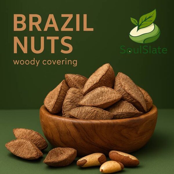 20251120_1413_Brazil Nuts Presentation_remix_01kahn6v89f3bt1jrb02hjwdyv-682x681