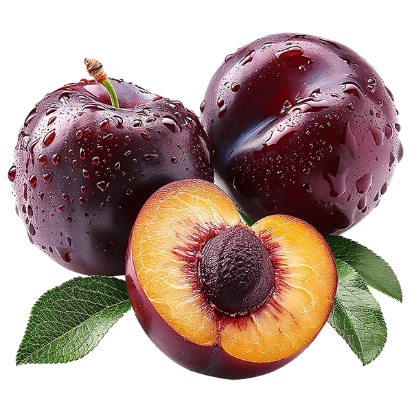 Chia Seeds - Image 3