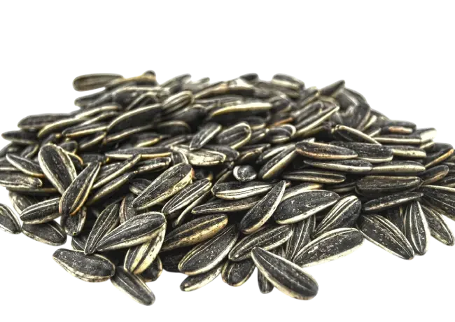 sunflower-seeds